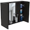 Tuhome Artemisa Medicine Cabinet, Double Door, Mirror, One External Shelf, Black GLW6750 - alternate 8